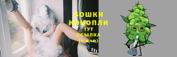 гидропоника Мегион