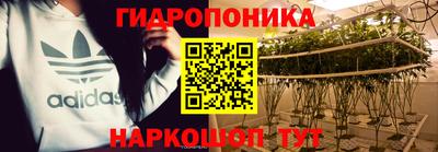 крисы Донской