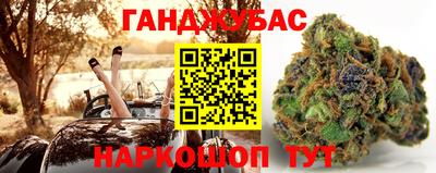 крисы Донской