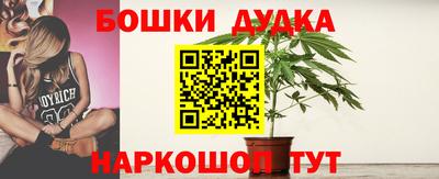 крисы Донской
