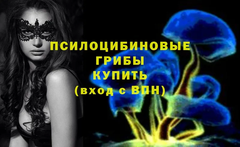 Галлюциногенные грибы Psilocybe  нарко площадка клад  Егорьевск 