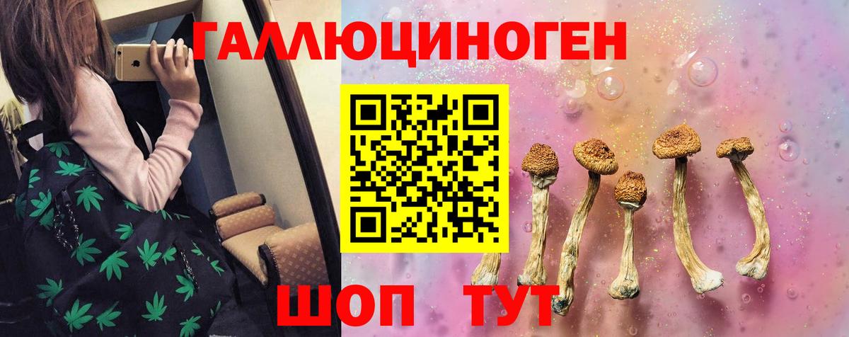 Псилоцибиновые грибы MAGIC MUSHROOMS Егорьевск
