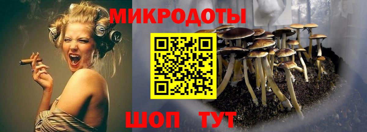 Галлюциногенные грибы MAGIC MUSHROOMS Егорьевск
