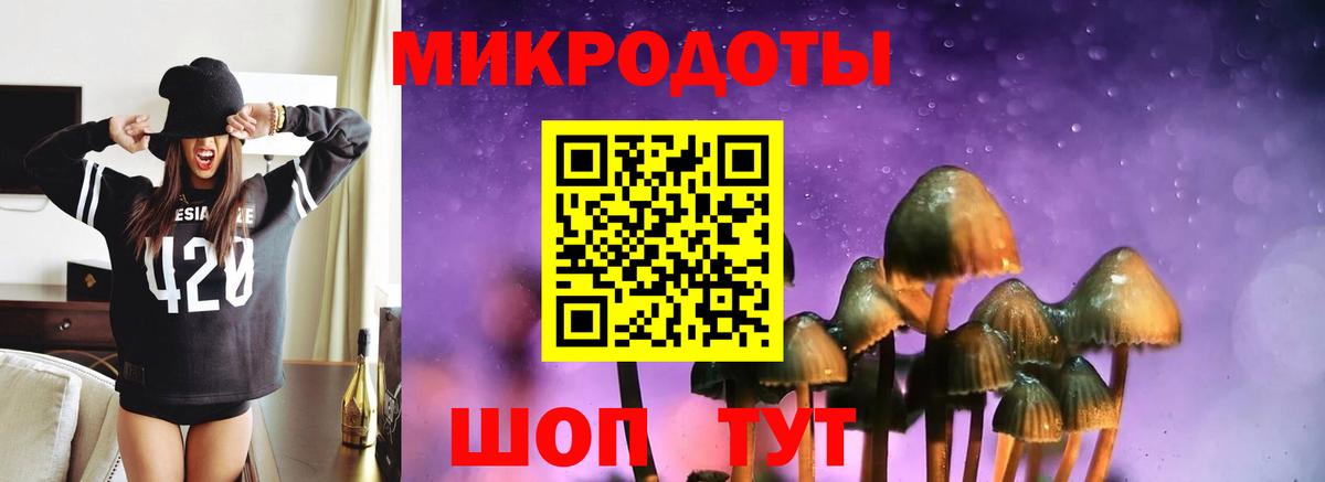 где купить наркоту  Галлюциногенные грибы Cubensis  Егорьевск  Псилоцибиновые грибы Magic Shrooms 