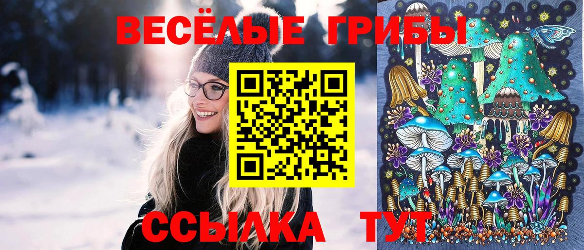 Псилоцибиновые грибы ЛСД  Вход с VPN  Егорьевск 